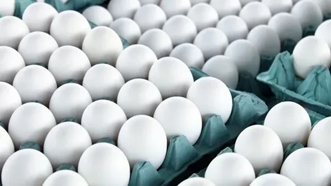 تصویر 4 از قیمت خرید تخم مرغ صادراتی قم + فروش ویژه